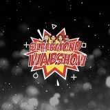 Silbermond Wäbshow