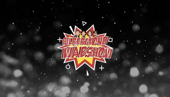 Silbermond Wäbshow